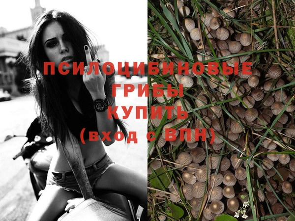 соль курить ск Абаза