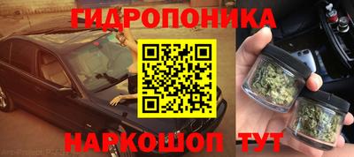 сатива Славгород