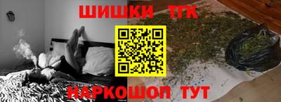сатива Славгород