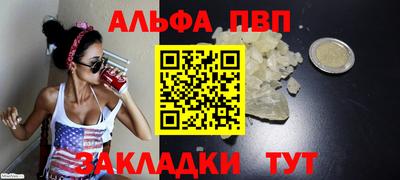 сатива Славгород