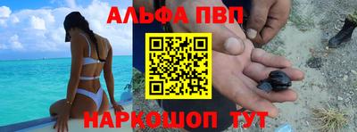 сатива Славгород