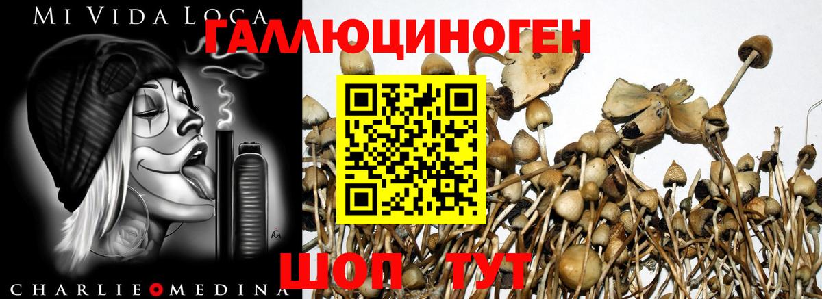 Галлюциногенные грибы прущие грибы  Вход с VPN  Новочебоксарск  Галлюциногенные грибы Magic Shrooms 